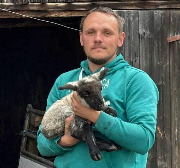 Lamm beide Ohren abgeschnitten: Polizei sucht Schaf-Hasser in Sachsen | Regional