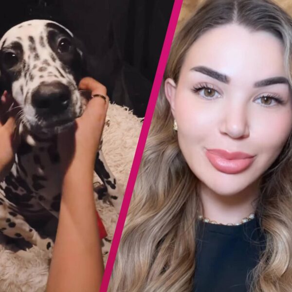 Familienzuwachs – Sie hat noch einen Dalmatiner-Welpen adoptiert