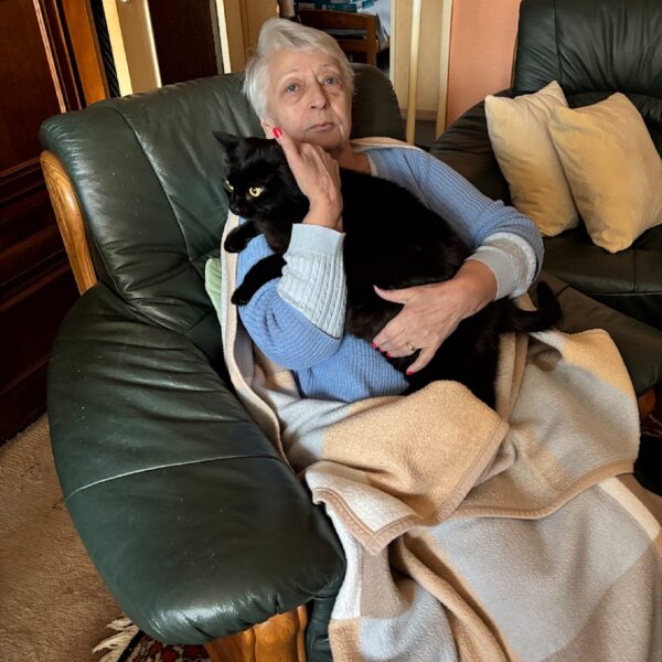 Stromausfall in Berlin: Erste Haushalte haben wieder Energie! | Regional