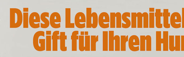 Wie falsches Füttern Hunden schaden kann | Leben & Wissen